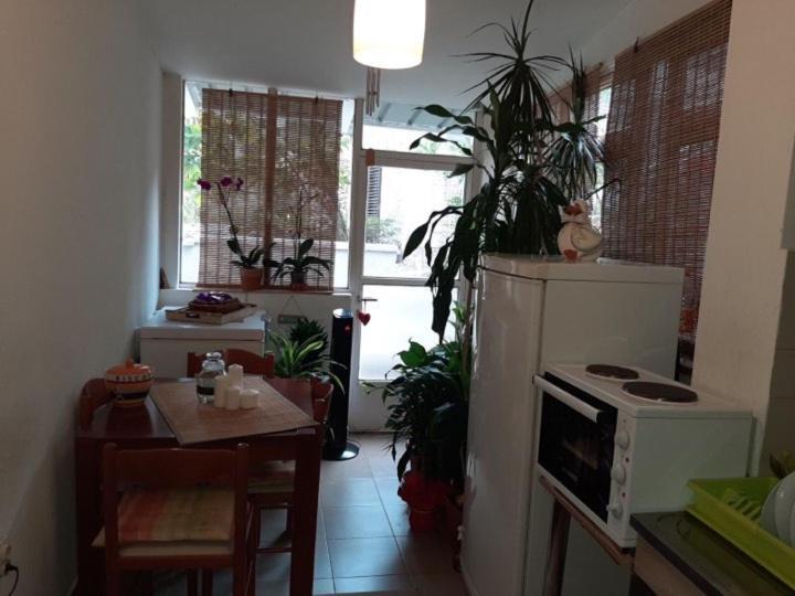 בודווה Guest House Ivan מראה חיצוני תמונה